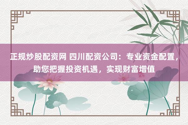 正规炒股配资网 四川配资公司：专业资金配置，助您把握投资机遇，实现财富增值