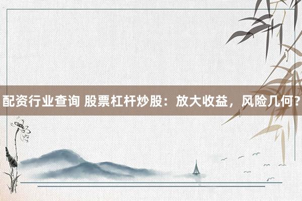配资行业查询 股票杠杆炒股：放大收益，风险几何？