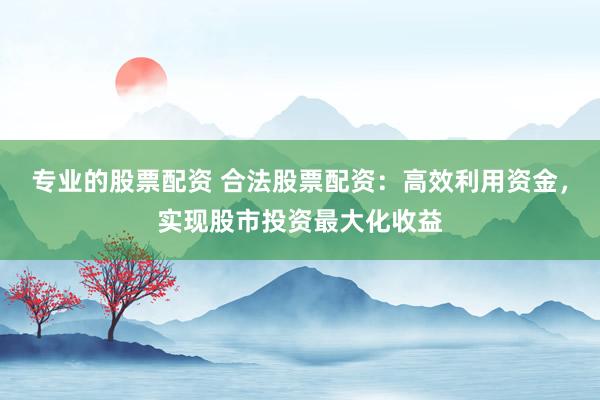 专业的股票配资 合法股票配资：高效利用资金，实现股市投资最大化收益