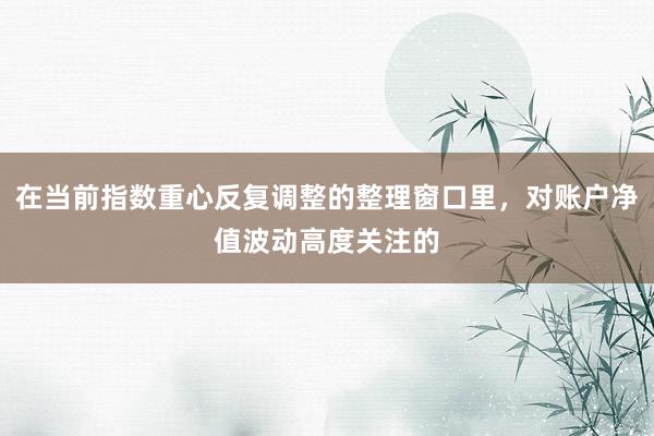 在当前指数重心反复调整的整理窗口里，对账户净值波动高度关注的