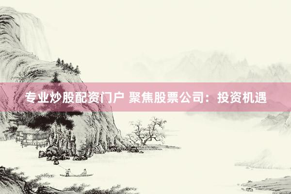 专业炒股配资门户 聚焦股票公司：投资机遇